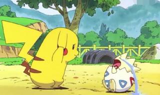 别忘了你是种子什么意思 种子是什么意思