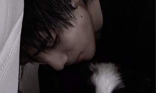 乖乖女是大明星插曲 乖乖女是大明星插曲