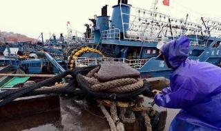 我给台风起名字 我给台风起名字