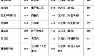 2020年长沙民政职业学院投档分数线 长沙民政学院分数线