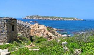 南澳岛包船出海捕鱼攻略 深圳南澳岛旅游攻略