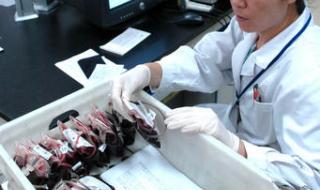 天津血液研究所 天津血液研究所