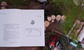 看烟花可以配什么文字 朋友圈发烟花配文字