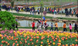 锦绣大地农业观光园