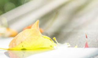 qq情侣签名一男一女