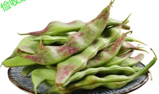 9月菜豆角原产地 九月青豆角产自哪里