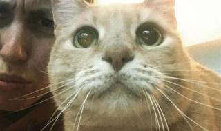 非常伤感的歌曲推荐几首,像《你一定要幸福》那种歌曲 你一定要幸福电视剧