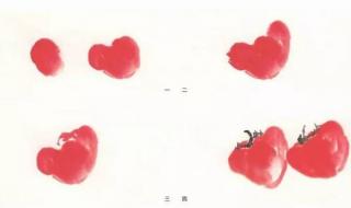 西西红柿｛定值后叶子直往上长 天天向上我吃西红柿