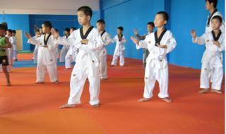 跆拳道垫子 跆拳道垫子