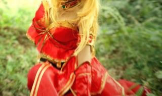 血精灵牧师 血精灵牧师