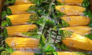 新西兰的钞票是塑料 新西兰的钞票是塑料