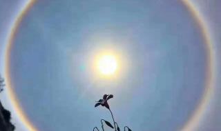 日晕和月晕各代表了什么 日晕出现有什么预兆