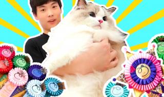 摸摸鱼公交车模拟器怎么改中文 摸摸鱼战争模拟器