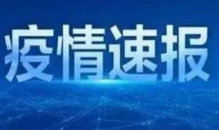 东兴口岸什么时候开放解封 广西东兴谈何时解封