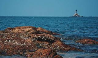厦门到东山岛 厦门到东山岛