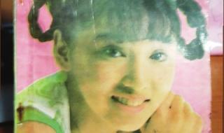 怎样征服美丽少女txt 怎样征服美丽少女txt