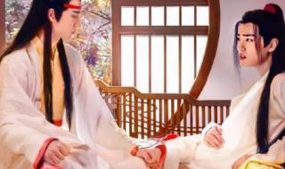 魔尊怀了仙尊的孩子 魔尊怀了仙尊的孩子