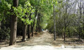 郑州国家森林公园 郑州国家森林公园