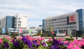 山东省专科分数线 山东省专科分数线