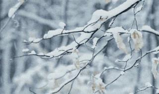 河北将迎大范围雨雪