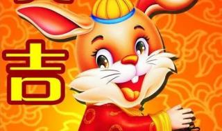 玉兔拜年图片大全