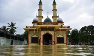 顿涅茨克和卢甘斯克 顿涅茨克和卢甘斯克