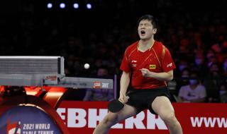 2021年世乒赛男单冠军. 2021世乒赛男单冠亚军