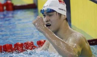 仰泳自由泳蛙泳蝶泳的世界纪录是多少 自由泳最快世界纪录